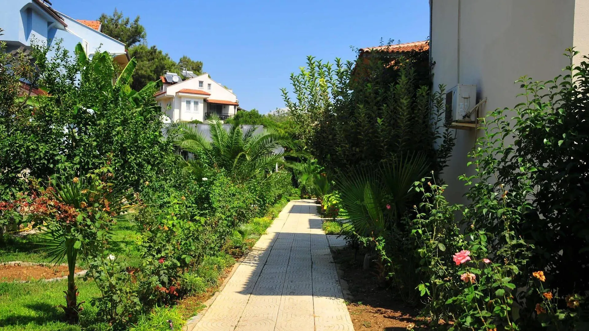 Telmessos Neva Hotel أولدينيس 3*,